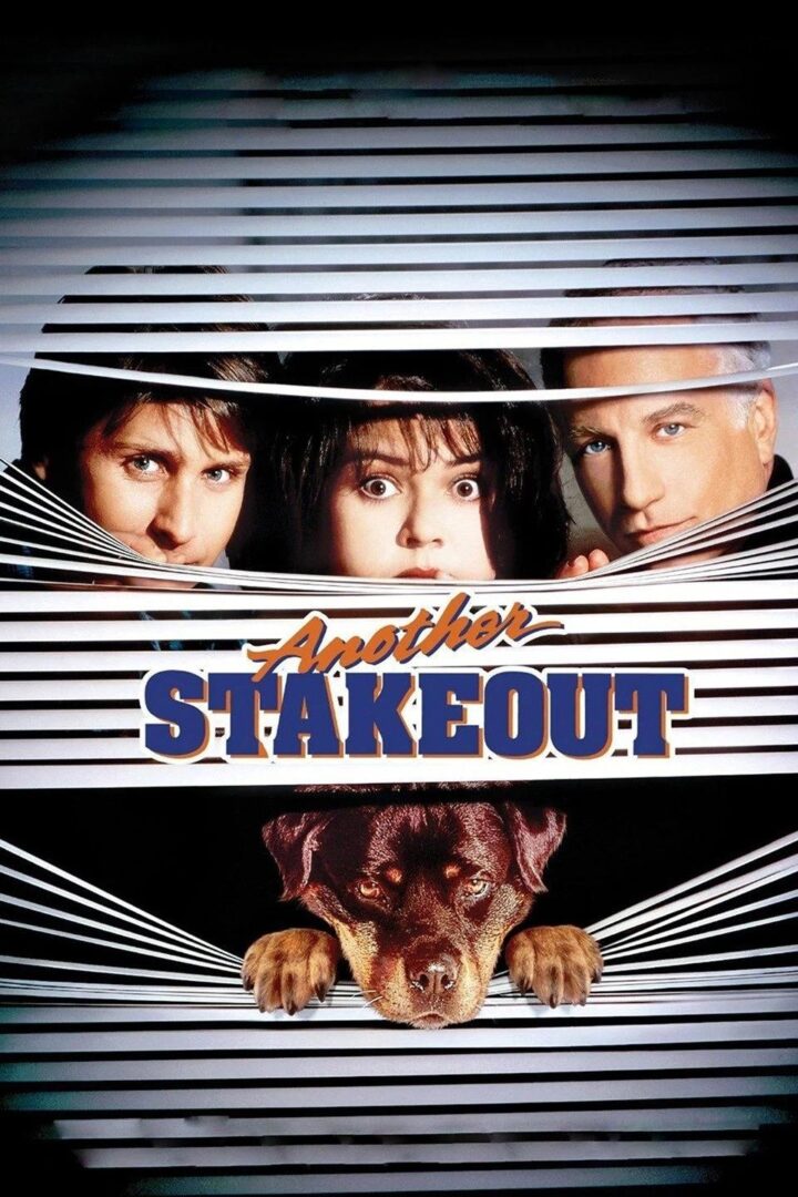 دانلود فیلم Another Stakeout 1993 بدون سانسور با پخش آنلاین