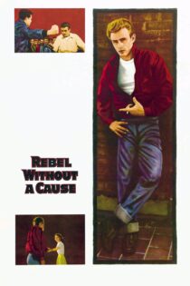 دانلود فیلم Rebel Without a Cause 1955 بدون سانسور با پخش آنلاین
