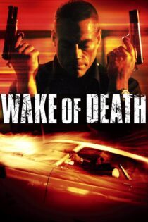 دانلود فیلم Wake of Death 2004 بدون سانسور با پخش آنلاین