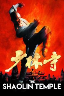 دانلود فیلم The Shaolin Temple 1982 بدون سانسور با پخش آنلاین دانلود فیلم The Shaolin Temple 1982 بدون سانسور با پخش آنلاین