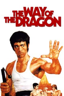 دانلود فیلم The Way of the Dragon 1972 بدون سانسور با پخش آنلاین دانلود فیلم The Way of the Dragon 1972 بدون سانسور با پخش آنلاین