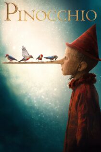 دانلود فیلم Pinocchio 2019 بدون سانسور با پخش آنلاین دانلود فیلم Pinocchio 2019 بدون سانسور با پخش آنلاین