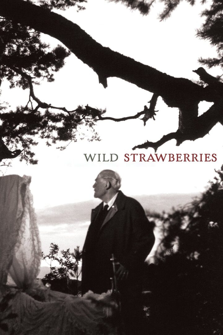 دانلود فیلم Wild Strawberries 1957 بدون سانسور با پخش آنلاین دانلود فیلم Wild Strawberries 1957 بدون سانسور با پخش آنلاین