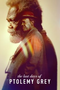 دانلود سریال The Last Days of Ptolemy Grey بدون سانسور