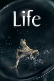 دانلود سریال Life بدون سانسور